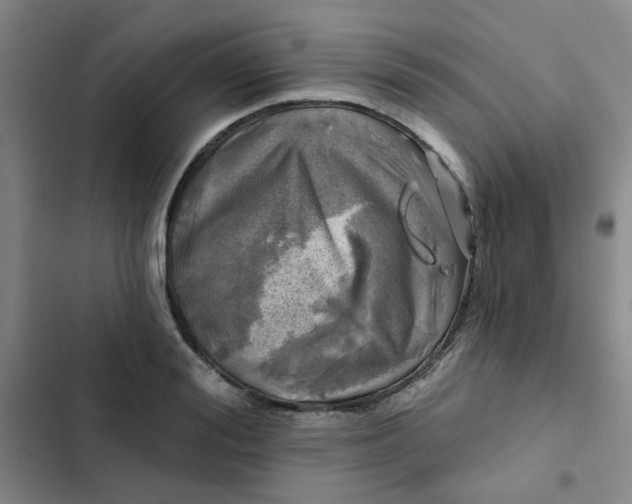 X0000102490988200808221726