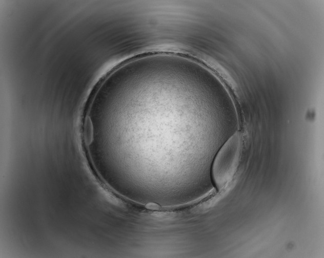 X0000102490989200808221726