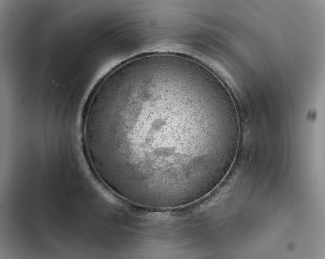 X0000102490990200808221726