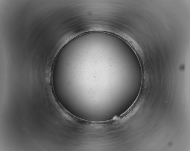 X0000102490993200808221726