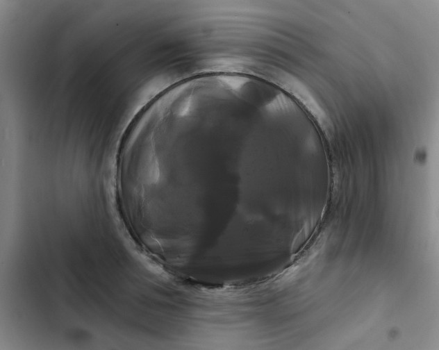 X0000102490994200808221726