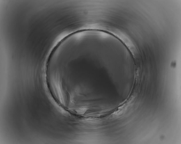 X0000102490998200808221726