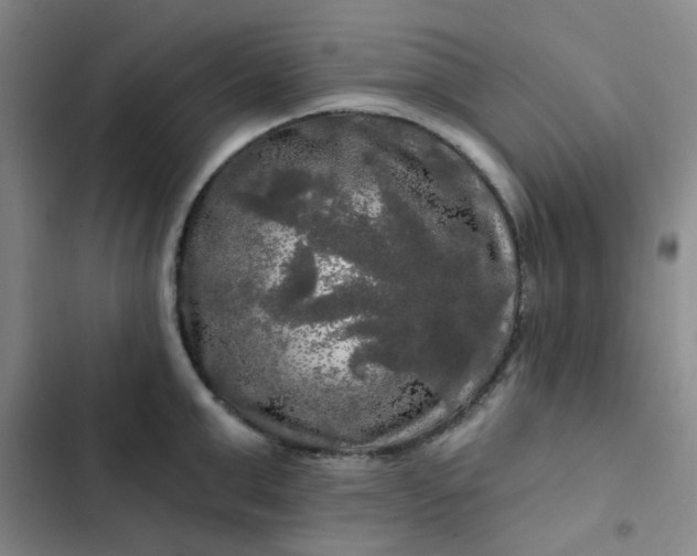 X0000102490999200808221726