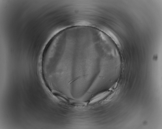 X0000102491000200808221726