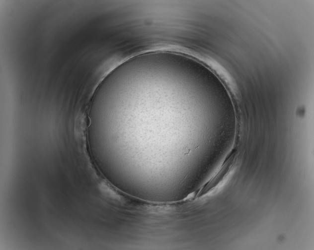 X0000102491001200808221726