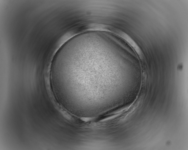 X0000102491002200808221726