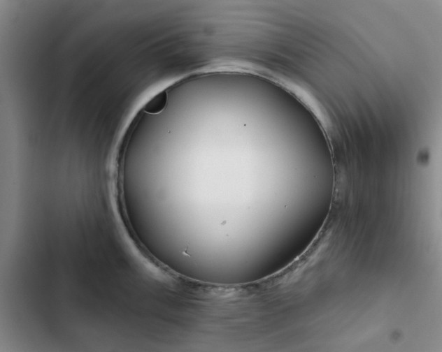 X0000102491003200808221726