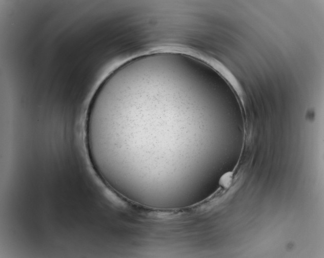 X0000102491005200808221726