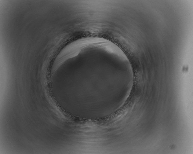 X0000102491009200808221725