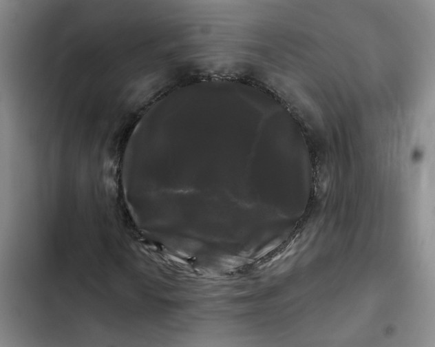 X0000102491010200808221725