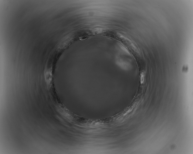 X0000102491011200808221725