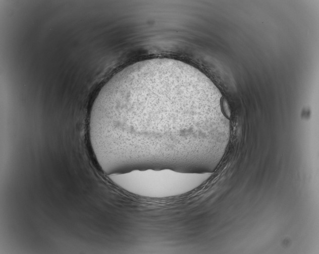 X0000102491012200808221725