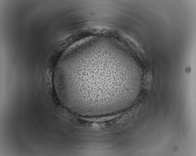 X0000102491013200808221725