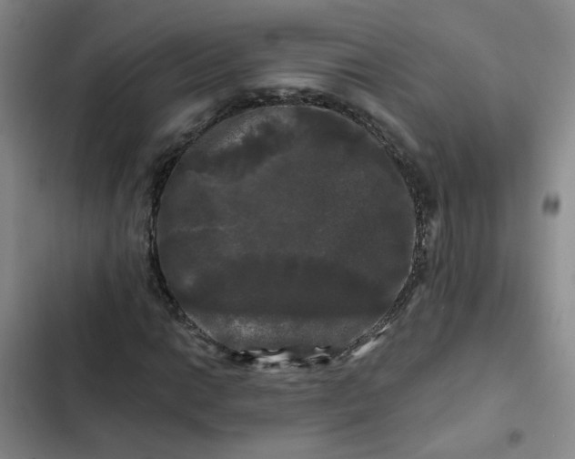 X0000102491014200808221725