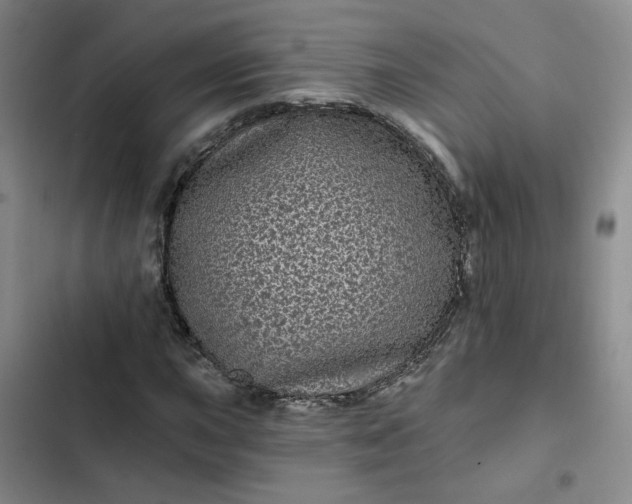 X0000102491015200808221725