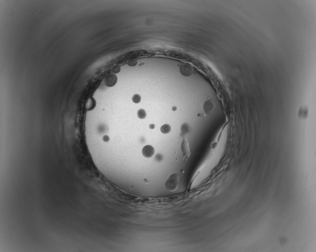 X0000102491016200808221725