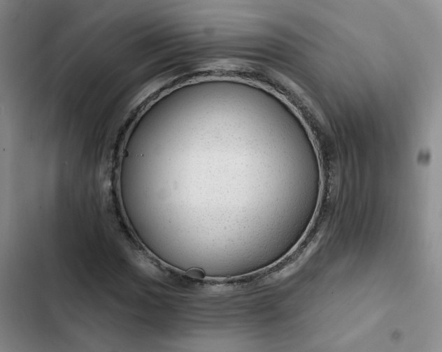 X0000102491017200808221725