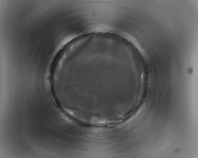 X0000102491018200808221725