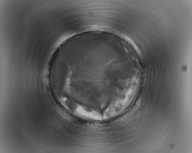 X0000102491019200808221725