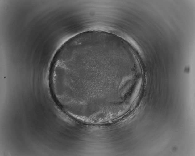 X0000102491020200808221725