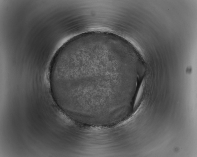 X0000102491022200808221725