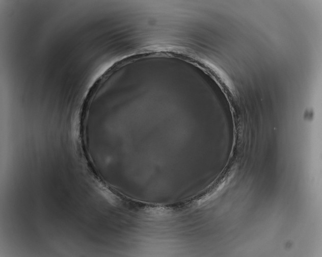 X0000102491023200808221725