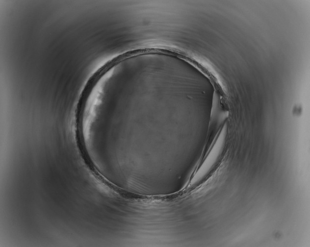 X0000102491024200808221725