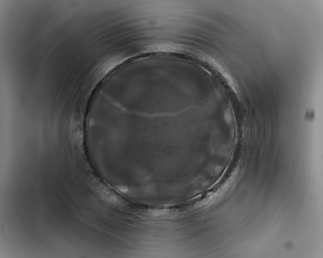 X0000102491025200808221725