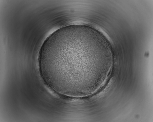 X0000102491026200808221725