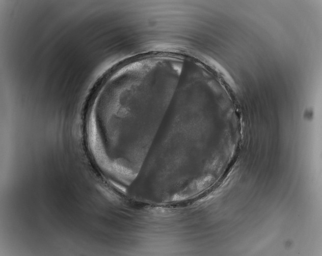 X0000102491027200808221725