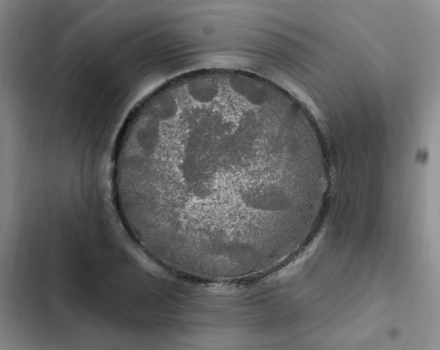 X0000102491029200808221725