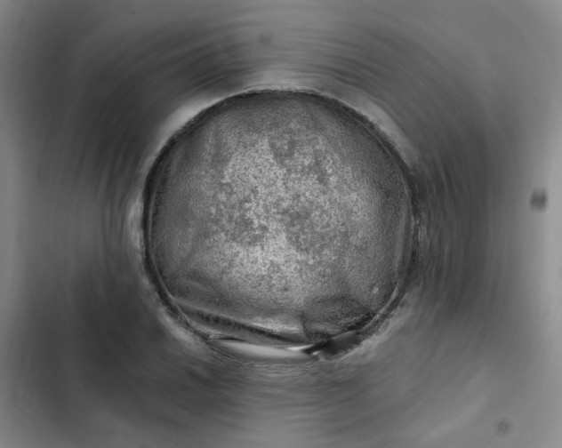 X0000102491030200808221725