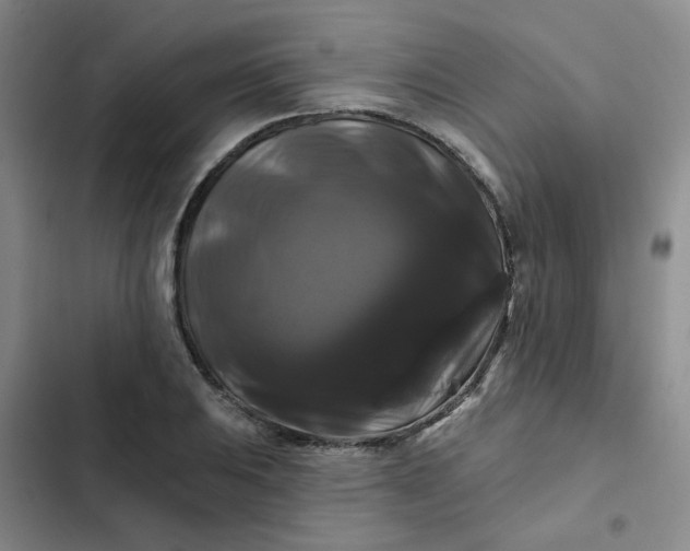 X0000102491031200808221725