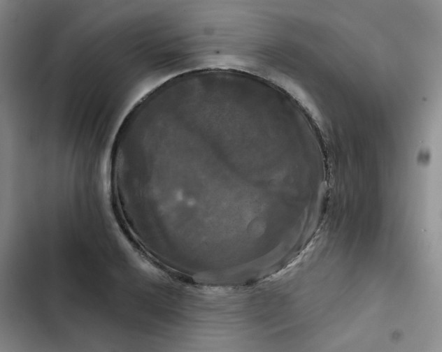 X0000102491032200808221725