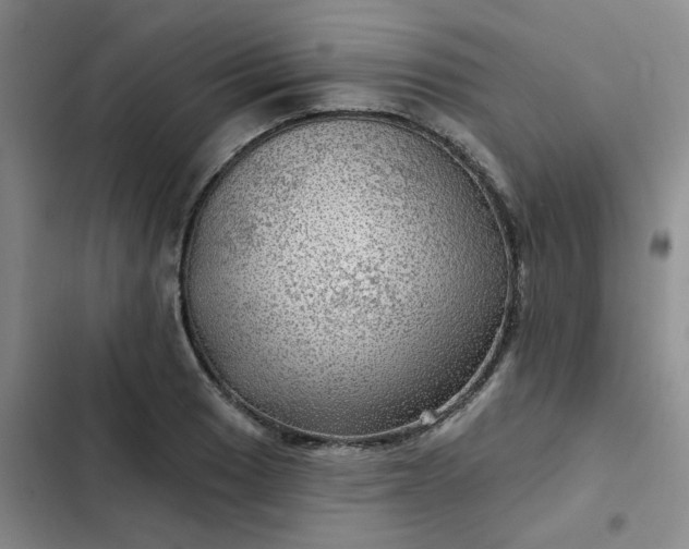 X0000102491033200808221725