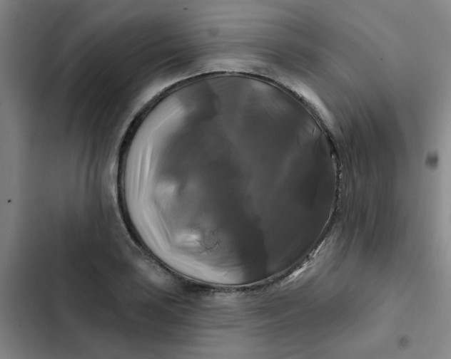 X0000102491035200808221726