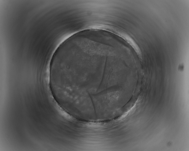 X0000102491036200808221726