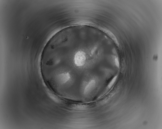 X0000102491039200808221726