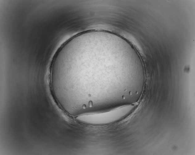 X0000102491040200808221726