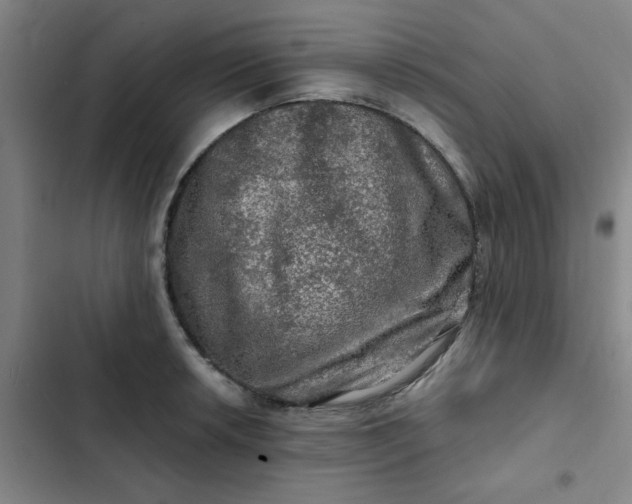 X0000102491042200808221726