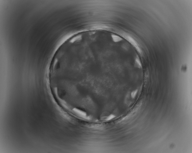 X0000102491047200808221726