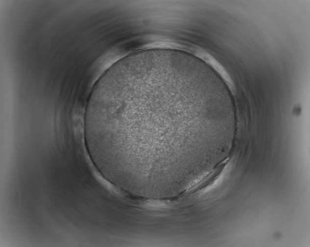 X0000102491049200808221726