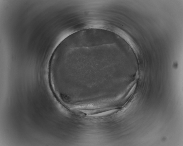 X0000102491050200808221726