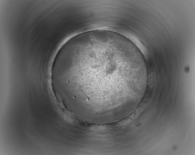 X0000102491051200808221726