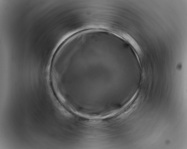 X0000102491052200808221726