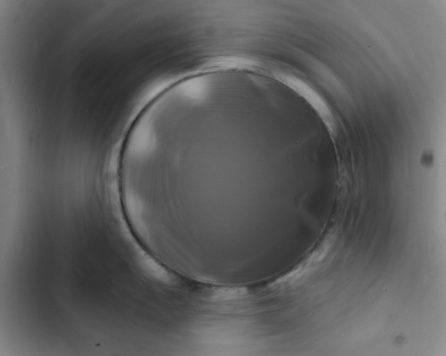 X0000102491055200808221726