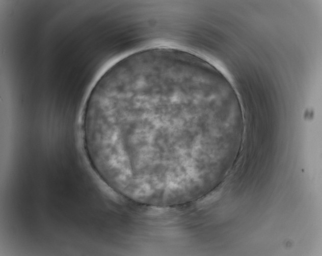 X0000102491056200808221726