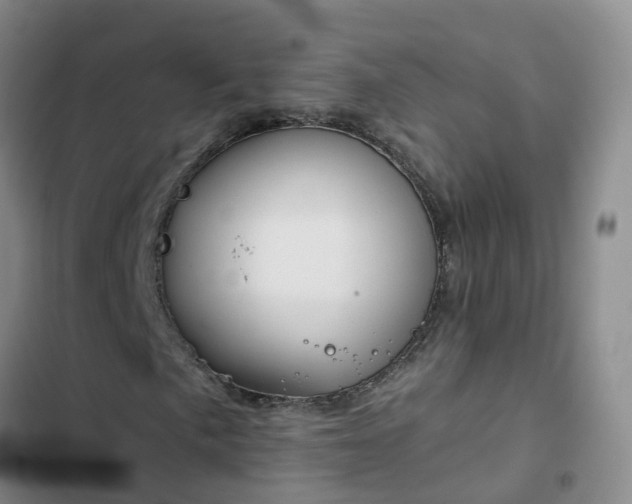 X0000102491057200808221725