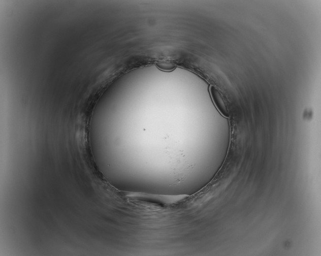 X0000102491058200808221725