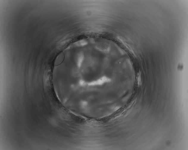 X0000102491059200808221725